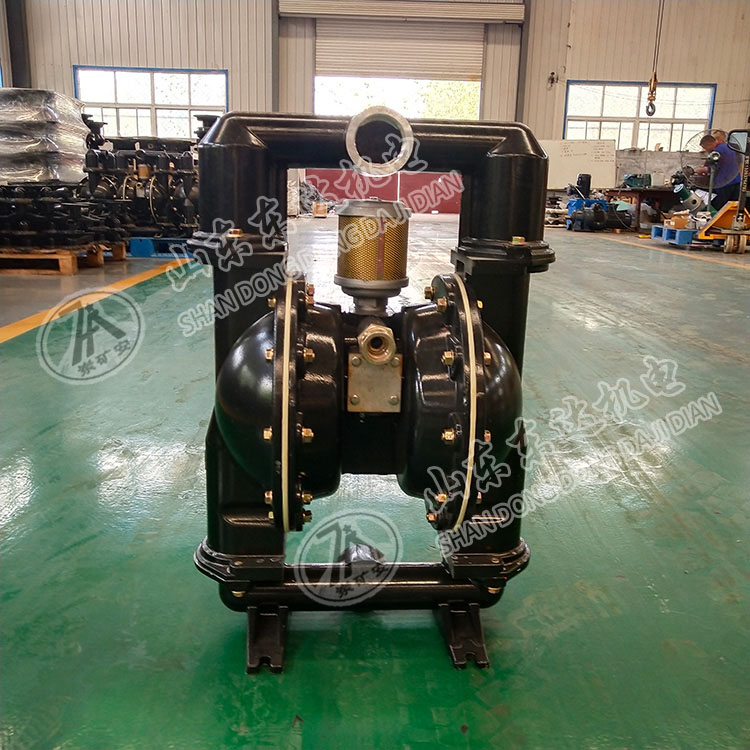 BQG450/0.2氣動隔膜泵